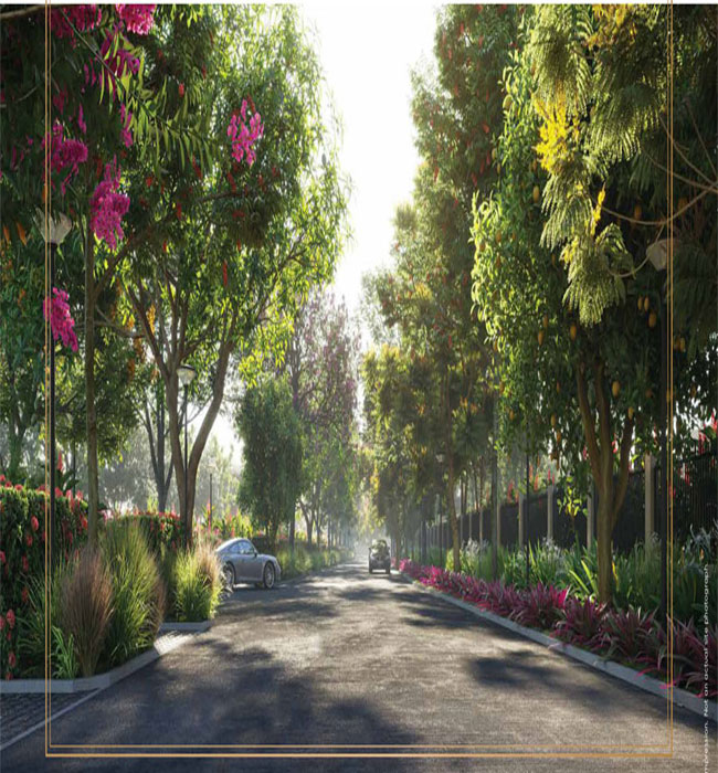 Godrej Plots Indore Brochure Godrej Plots Indore Brochure